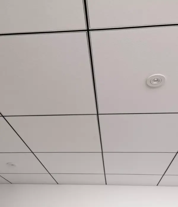 Fcpi Plaquiste Sainte Pazanne Faux Plafond
